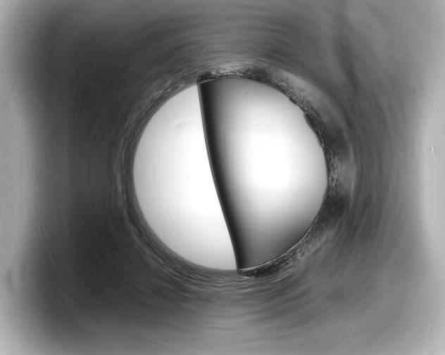 X0000098180452200804241034