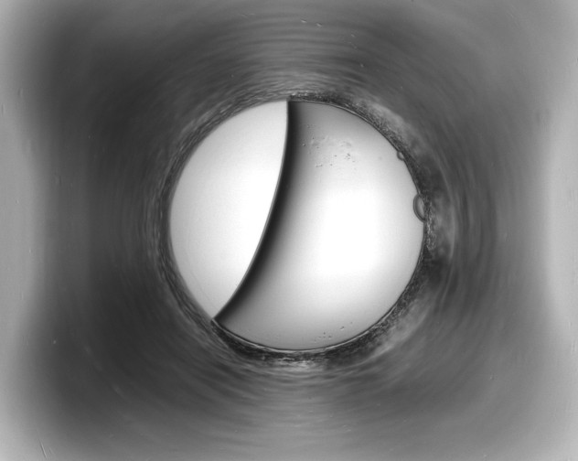 X0000098180454200804241034