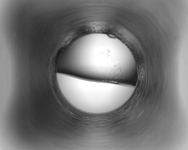 X0000098180456200804241034