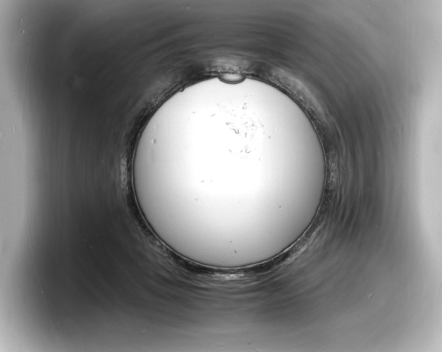 X0000098180457200804241034