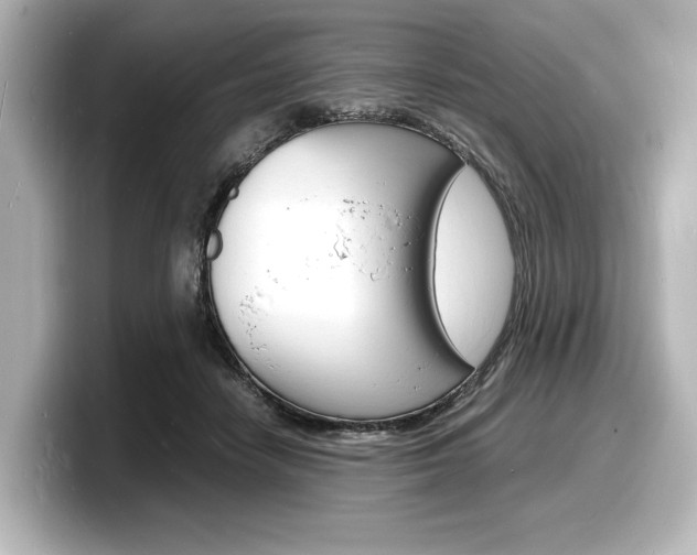 X0000098180458200804241034