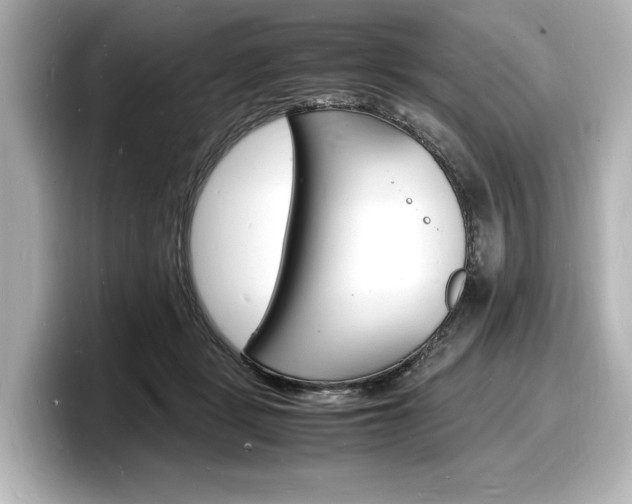X0000098180461200804241034