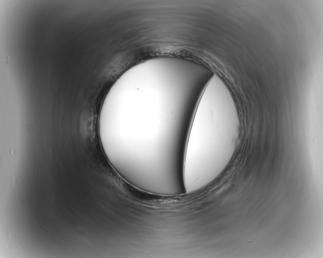 X0000098180462200804241034