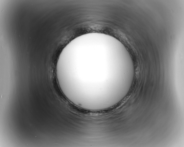 X0000098180464200804241034
