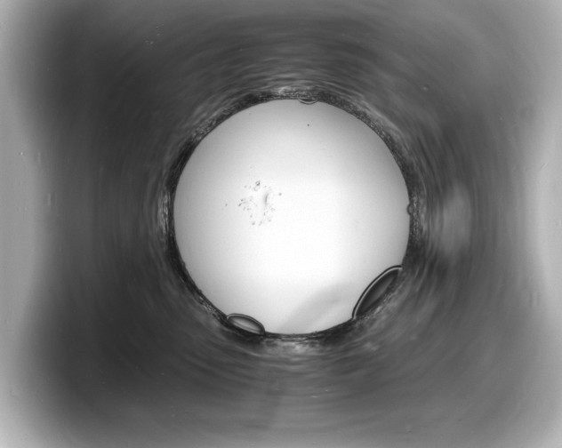 X0000098180475200804241034