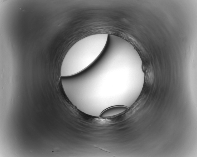 X0000098180477200804241034