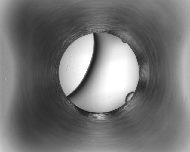X0000098180478200804241034