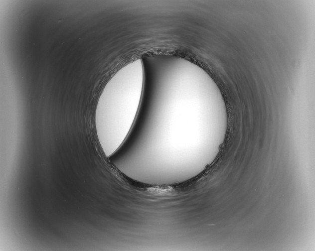 X0000098180480200804241034