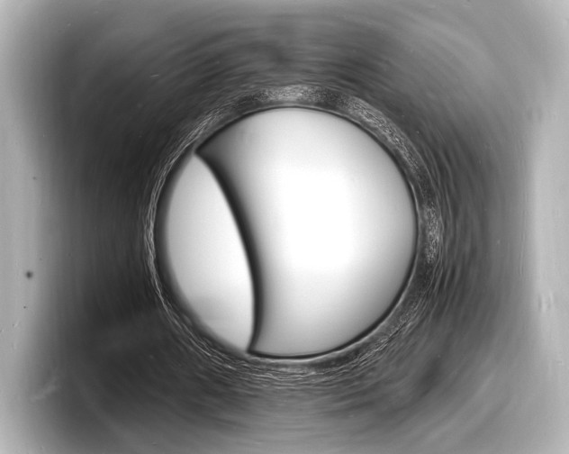X0000098180482200804241033