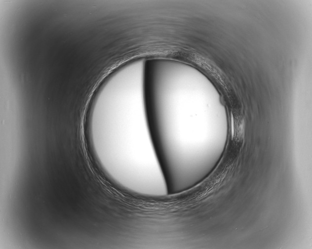X0000098180483200804241033