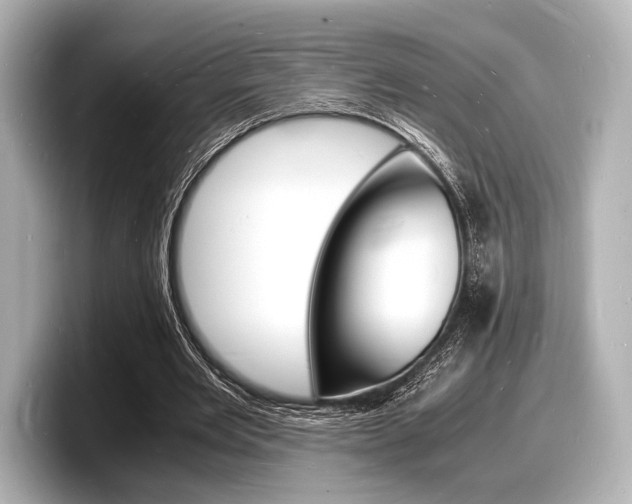 X0000098180485200804241033