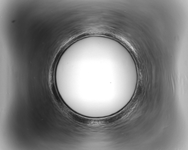 X0000098180487200804241033