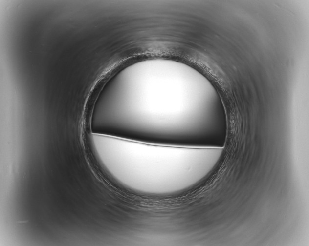 X0000098180488200804241033