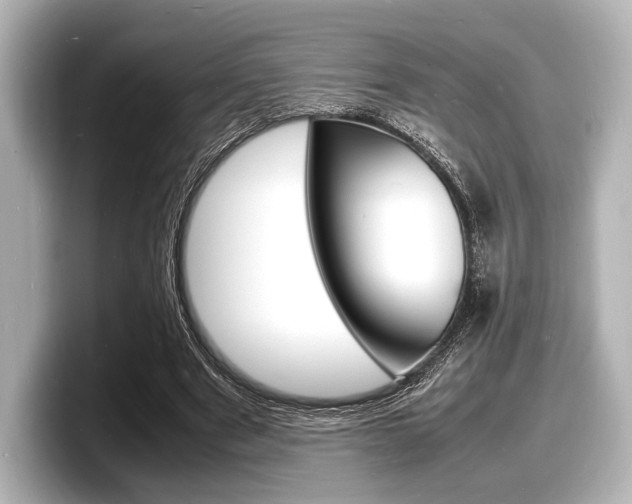 X0000098180489200804241033