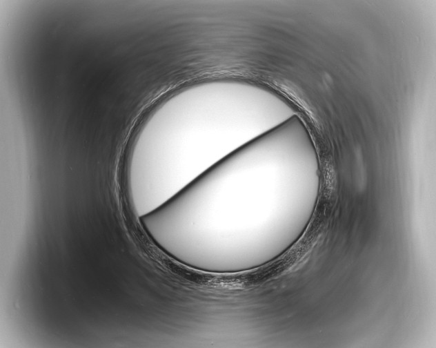 X0000098180491200804241033