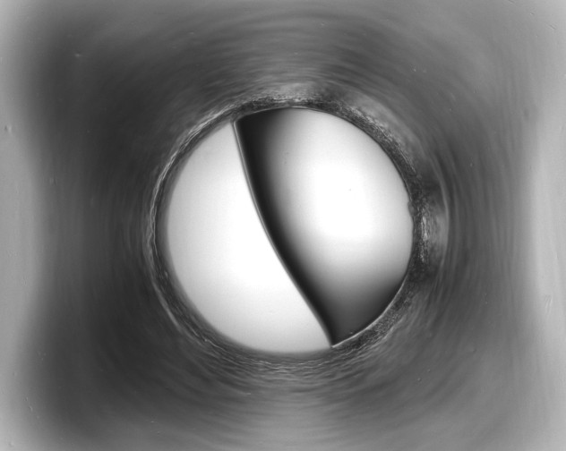 X0000098180492200804241033