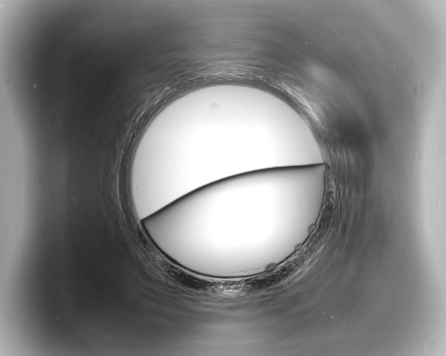 X0000098180495200804241033