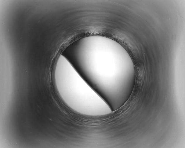 X0000098180496200804241033