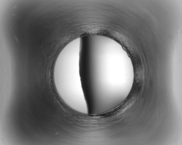 X0000098180497200804241033