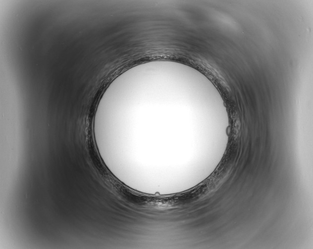 X0000098180498200804241033