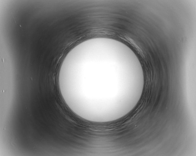 X0000098180500200804241033