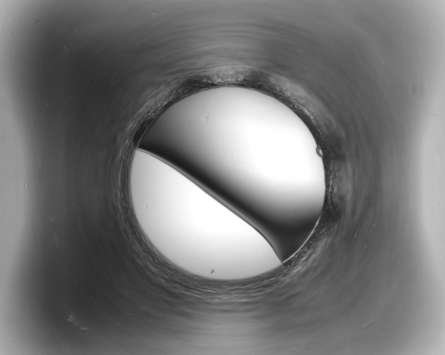 X0000098180501200804241033