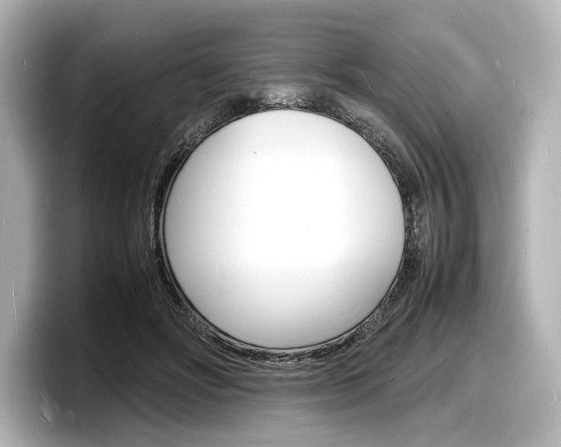 X0000098180502200804241033