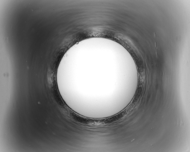 X0000098180503200804241033