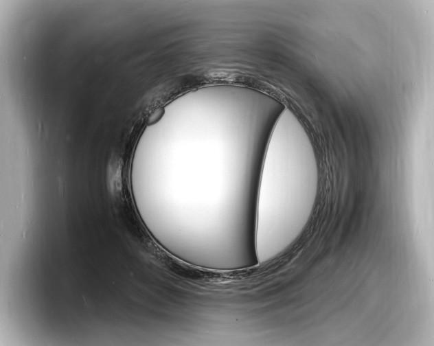 X0000098180504200804241033