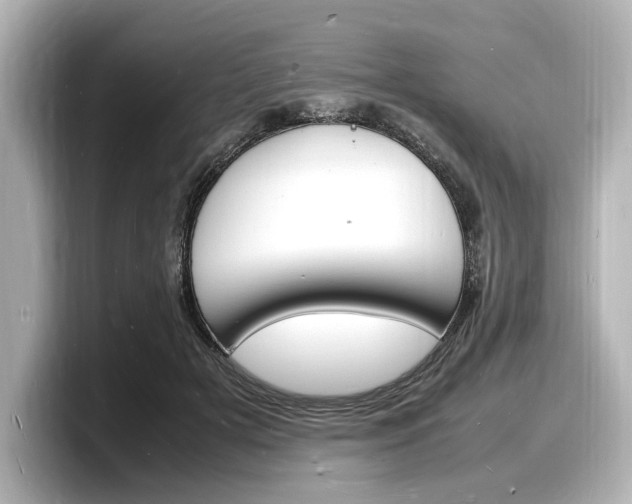 X0000098180505200804241033