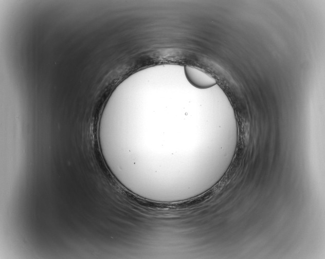 X0000098180506200804241033