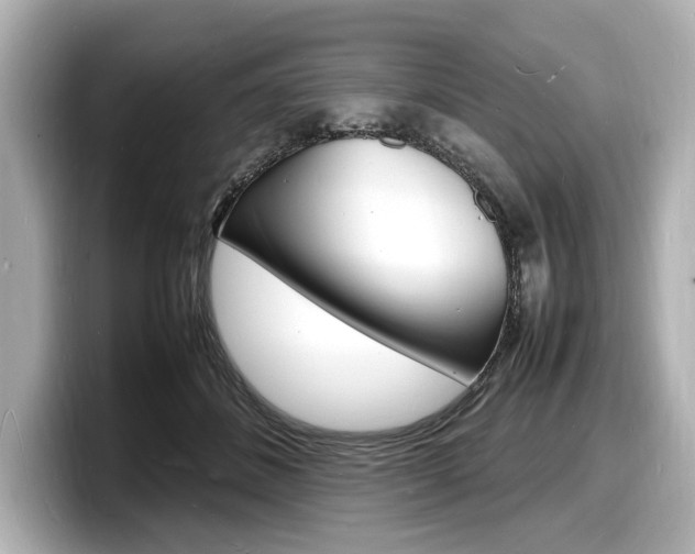 X0000098180508200804241033