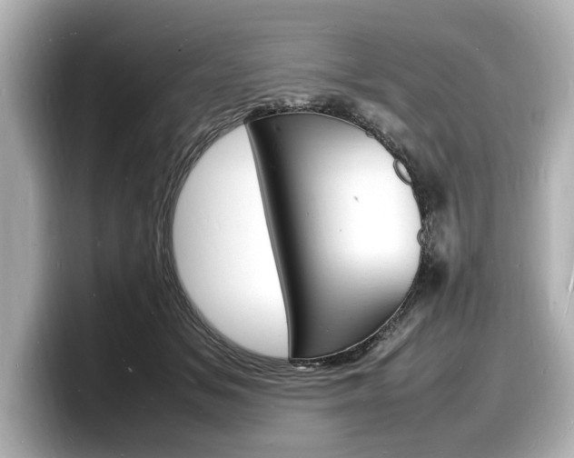 X0000098180509200804241033