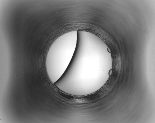 X0000098180510200804241033