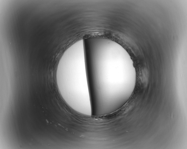 X0000098180512200804241033