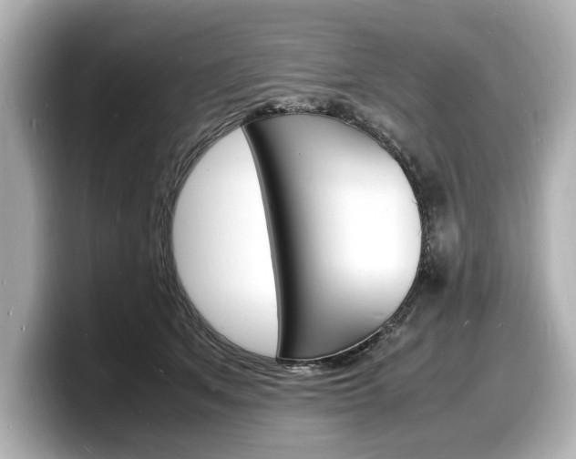 X0000098180513200804241033