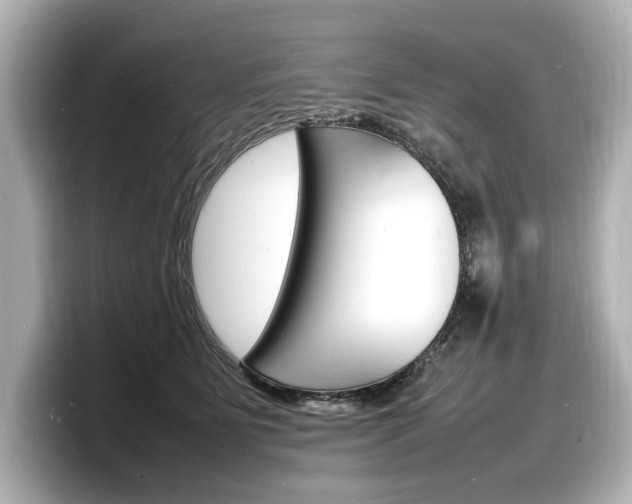 X0000098180515200804241033
