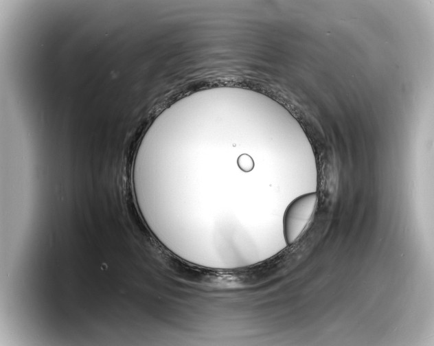 X0000098180518200804241033