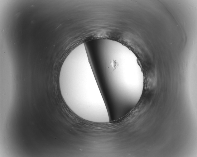 X0000098180521200804241033