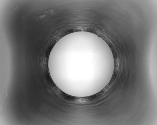 X0000098180522200804241033