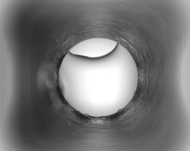 X0000098180523200804241033