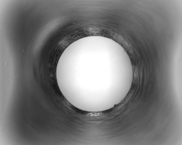 X0000098180526200804241033