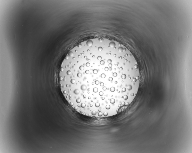 X0000098180527200804241033