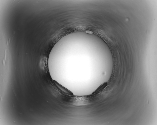 X0000098180528200804241033