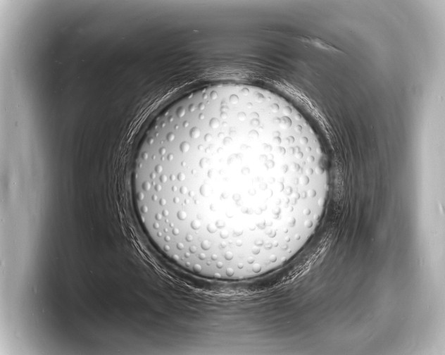 X0000098180529200804241032