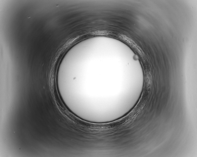 X0000098180533200804241032