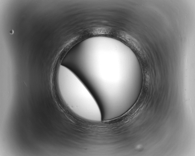 X0000098180539200804241032