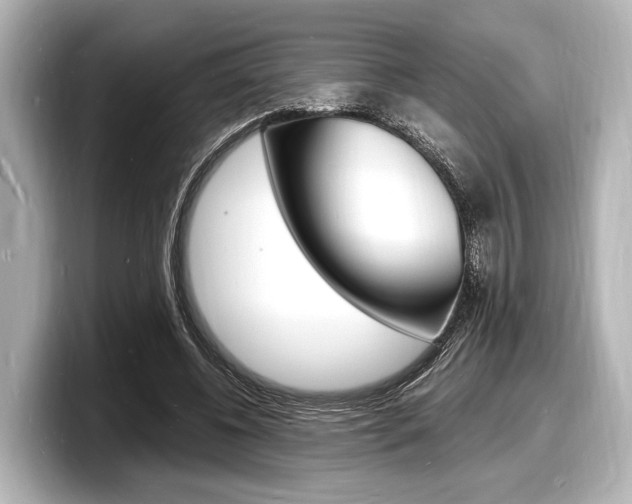 X0000098180540200804241032