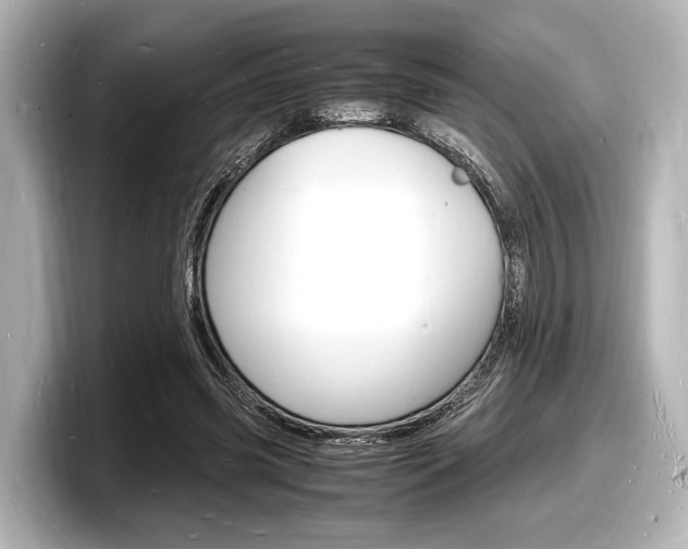 X0000098180541200804241032