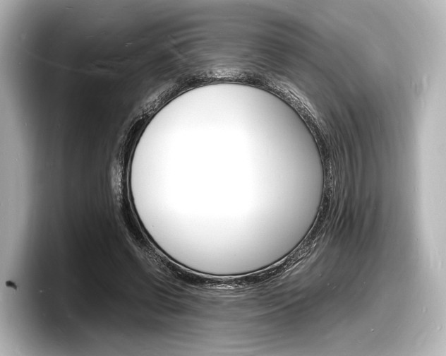 X0000098180542200804241032